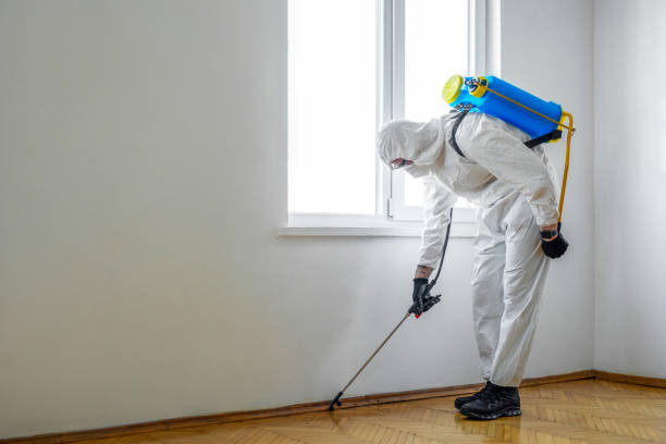 Best Real Estate Pest Inspections  in Fullerton, PA